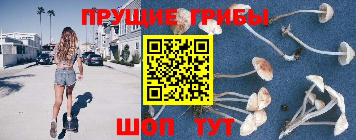 Псилоцибиновые грибы Magic Shrooms  Вход с VPN  Псилоцибиновые грибы прущие грибы  Сызрань 